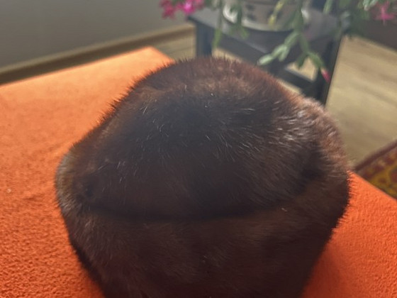 Naturaalnahast mütsid