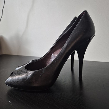 Kingad Miu Miu
