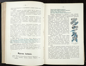 1916 Tsaariaegne raamat RAVIMTAIMED (7 foto / 10)
