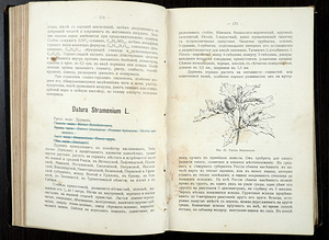 1916 Tsaariaegne raamat RAVIMTAIMED (8 foto / 10)