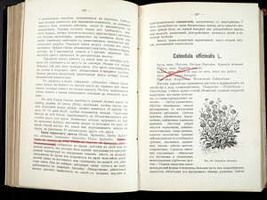 1916 Tsaariaegne raamat RAVIMTAIMED (10 foto / 10)