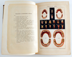 1908 Tsaariaegne raamat ЗДОРОВЬЕ (7 фото из 8)