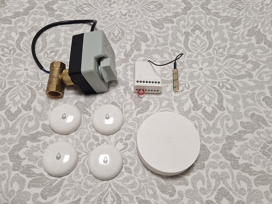 Tark kodu Zigbee. Veekahjustuste (v