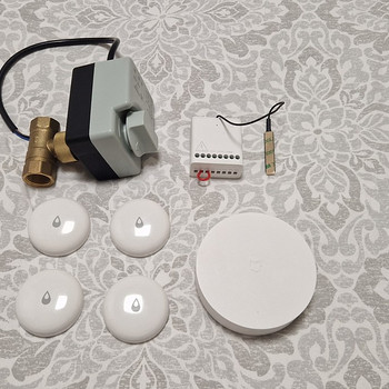 Tark kodu Zigbee. Veekahjustuste (v