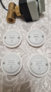 Tark kodu Zigbee. Veekahjustuste (v (2 foto / 6)