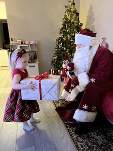 DED MOROZ (1 foto / 1)