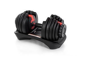Reguleeritav hantel 24 kg (15 raskusastet) (1 foto / 10)