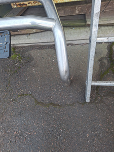 Kängururaud vigastusega (3 foto / 3)