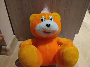 Медведь (2 фото из 3)