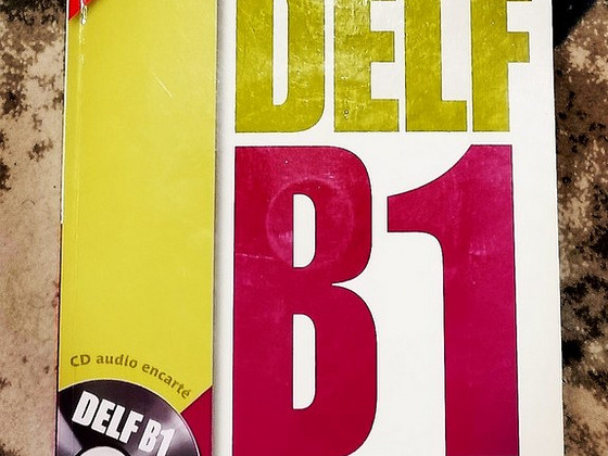 Пособие по подготовке к сдаче экзамена DELF B1