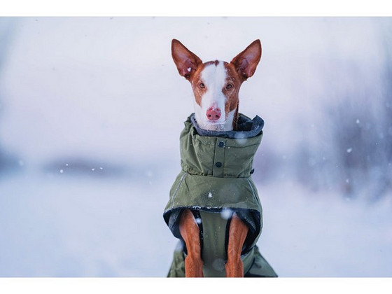 Rukka Pets Warmup пальто для собаки s60