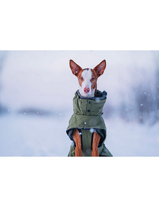 Rukka Pets Warmup пальто для собаки s60 (1 фото из 4)