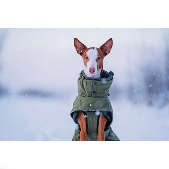 Rukka Pets Warmup пальто для собаки s60