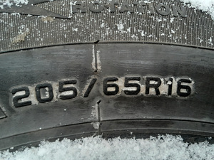 Talverehvid (2 foto / 3)
