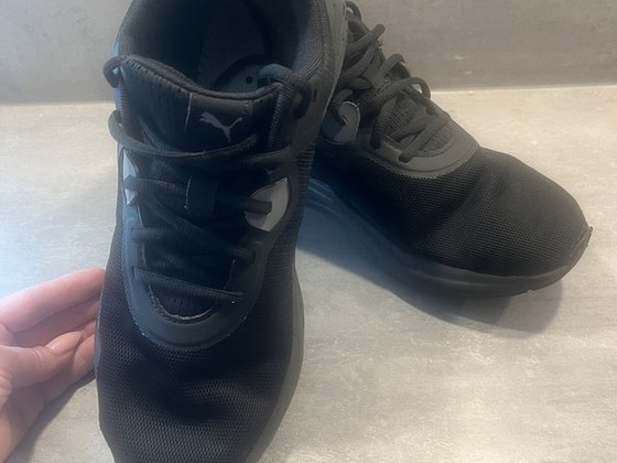 Puma 44