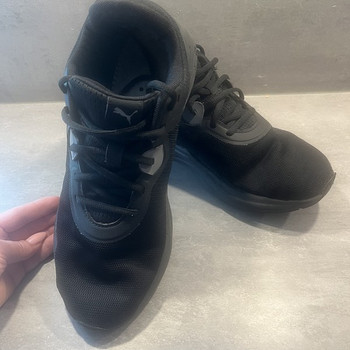 Puma 44