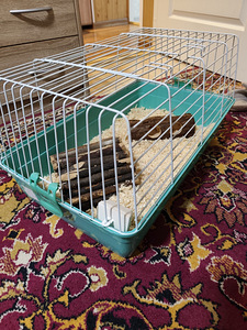 Клетка (3 фото из 3)