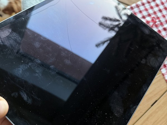 iPad Pro 12.9 5gen WiFi+Cellular