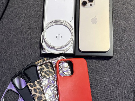 iPhone 13 pro max