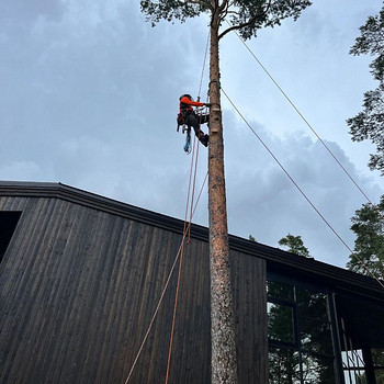 Arborist