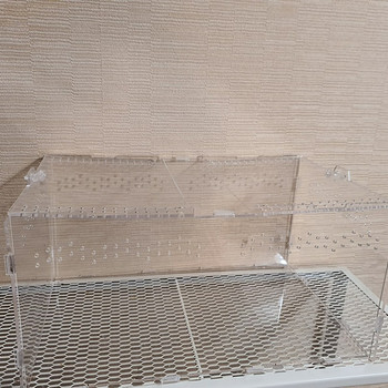 Terārijs