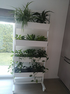 Toataimede riiul + taimed (8 foto / 10)