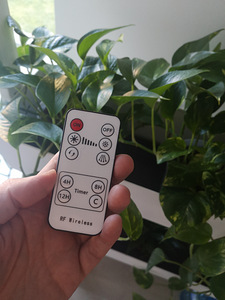 Toataimede riiul + taimed (10 foto / 10)
