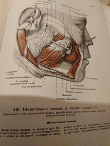 Inimese anatoomia atlas. I, II köide (2 foto / 2)