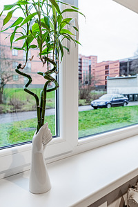 Sõle tn 58, Põhja-Tallinn, Tallinn, Harjumaa (5 foto / 15)