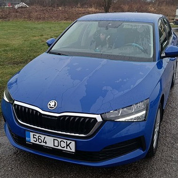 Müüja idealses seisukorras skoda