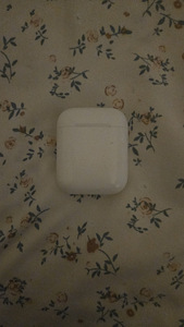 Müüa AirPods (1. põlvkond) ümbris (2 foto / 2)