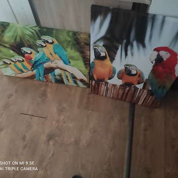 Kunst