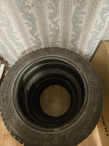 Зимние шины Nokian 215/55 R17 98T XL (5 фото из 7)