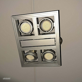 Потолочная лампа Hector Light