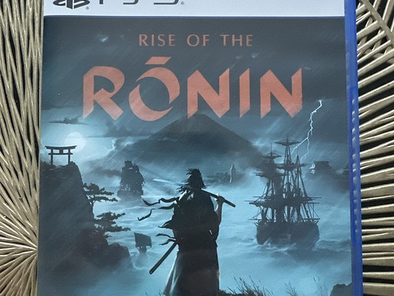 Rise of the ronin