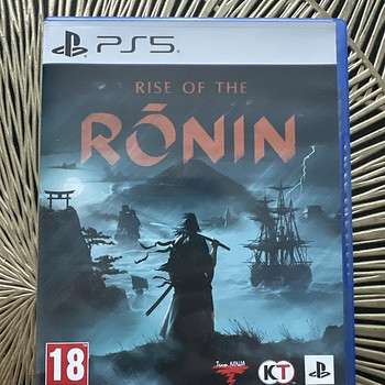 Rise of the ronin