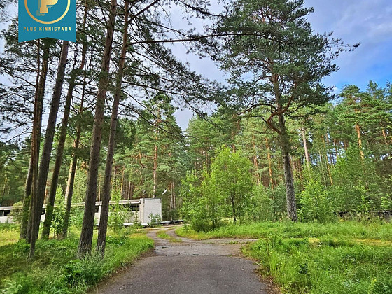 Piiri tee 11, Narva-Jõesuu, Narva-Jõesuu linn, Ida-Virumaa