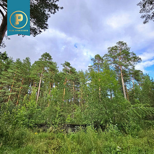 Piiri tee 11, Narva-Jõesuu, Narva-Jõesuu linn, Ida-Virumaa (4 foto / 16)
