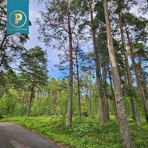 Piiri tee 11, Narva-Jõesuu, Narva-Jõesuu linn, Ida-Virumaa (5 foto / 16)