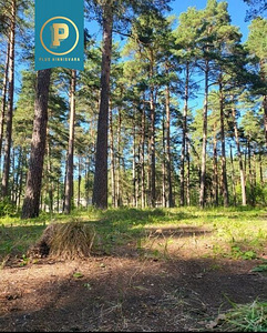 Piiri tee 11, Narva-Jõesuu, Narva-Jõesuu linn, Ida-Virumaa (6 foto / 16)