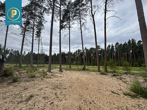 Piiri tee 11, Narva-Jõesuu, Narva-Jõesuu linn, Ida-Virumaa (15 foto / 16)