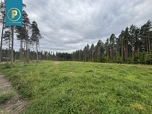 Piiri tee 11, Narva-Jõesuu, Narva-Jõesuu linn, Ida-Virumaa (16 foto / 16)