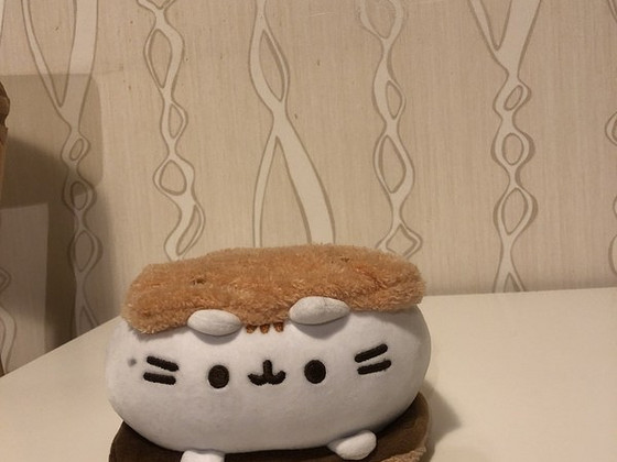 Laste mänguasi Pusheen