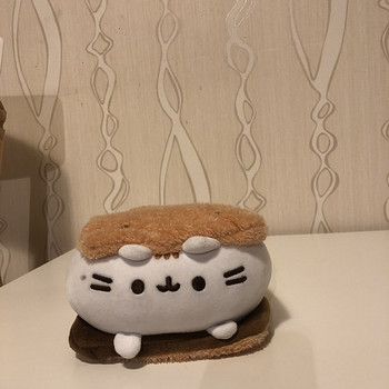 Laste mänguasi Pusheen