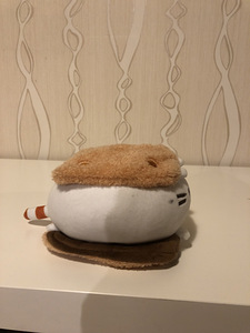 Laste mänguasi Pusheen (4 foto / 4)
