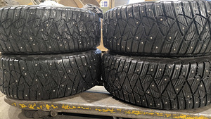 Dunlop Ice Touch 215/55-16 (1 foto / 4)