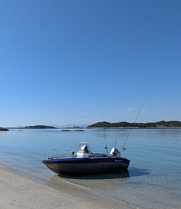 Silver beaver 450 (5 foto / 5)