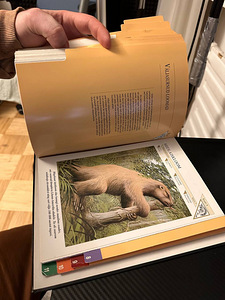 Информация о животных Книга - каталог | В мире животных (3 фото из 3)