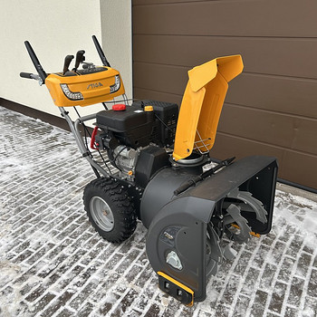 Lumefrees / lumepuhur stiga