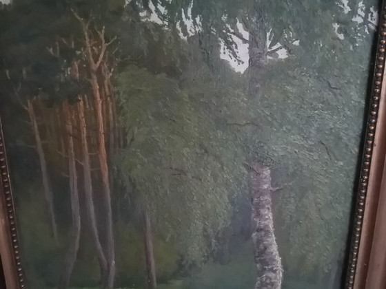 Картина маслом "Поляна с березой" 44 x 32